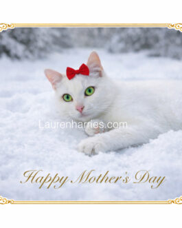 Snow morhersday card  any size signed by us both